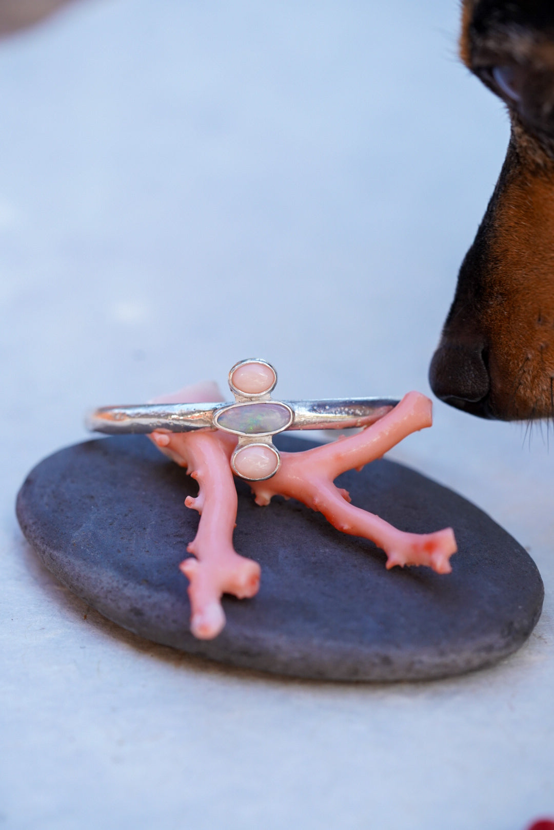 A silver cuff with three stones, displayed on a coral-shaped stand on a dark stone plate, with a dog's nose visible on the right side.