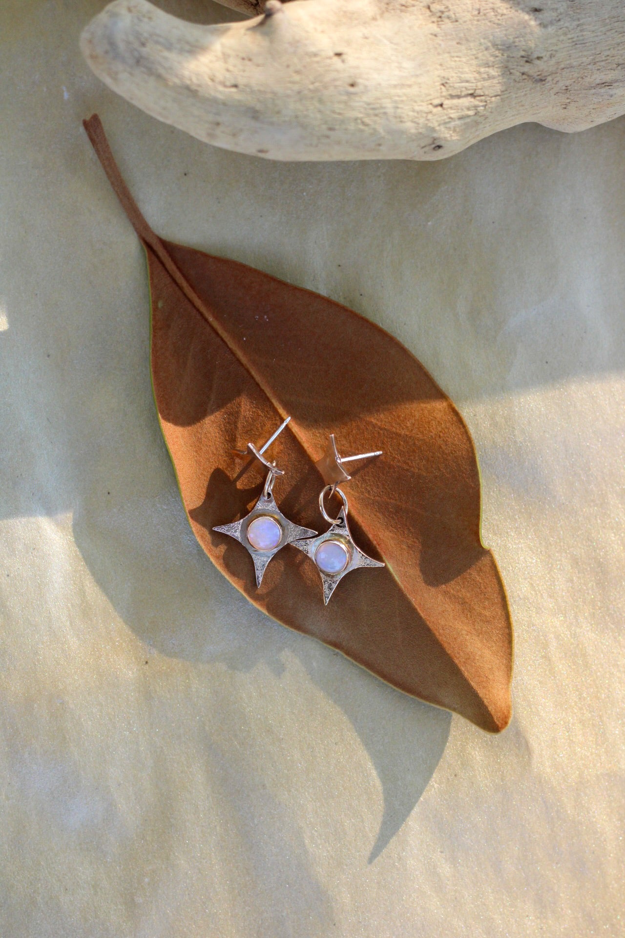 Pair of earrings on a brown leaf with a natural background