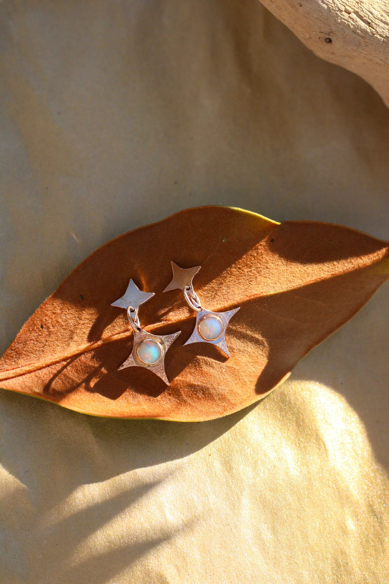 Pair of earrings on a brown leaf with a neutral background