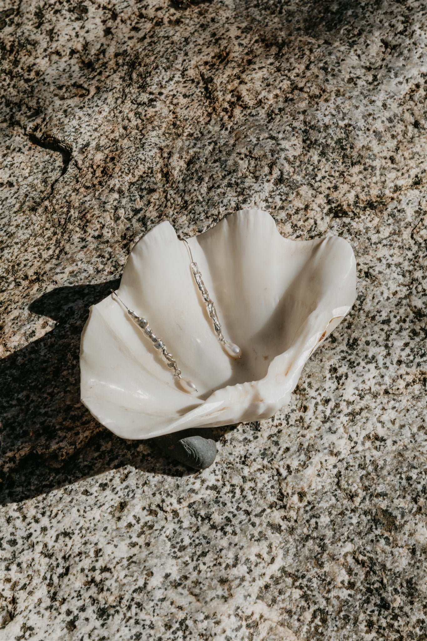 Shell with silver earrings on a textured stone surface