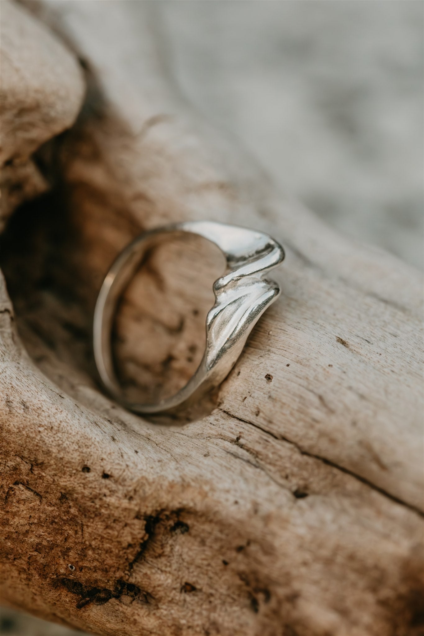 Silver ring on a piece of driftwood with a blurred natural background