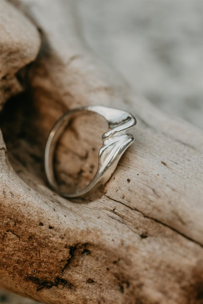 Silver ring on a piece of driftwood with a blurred natural background
