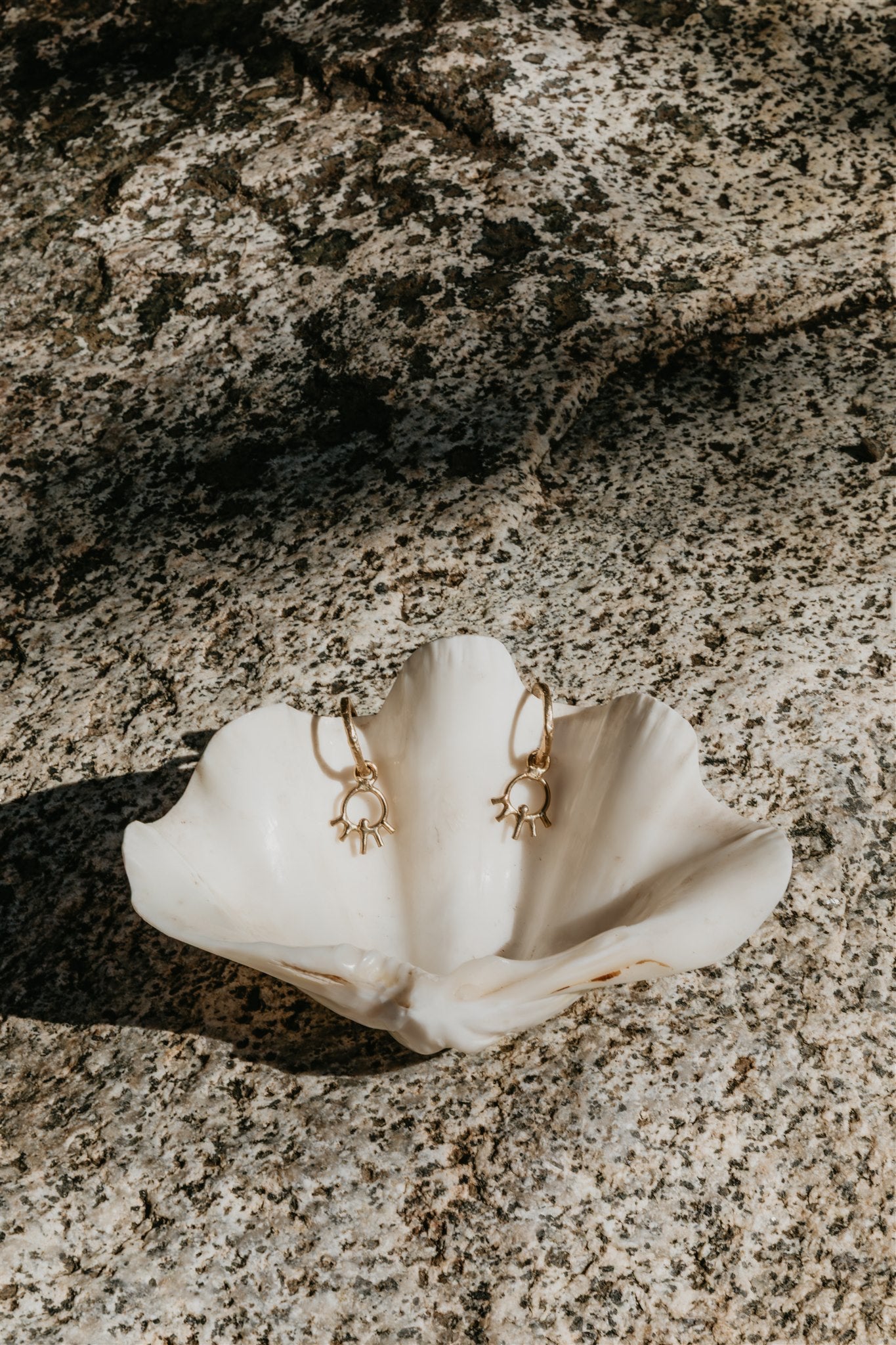 Gold earrings on a white shell against a textured stone background